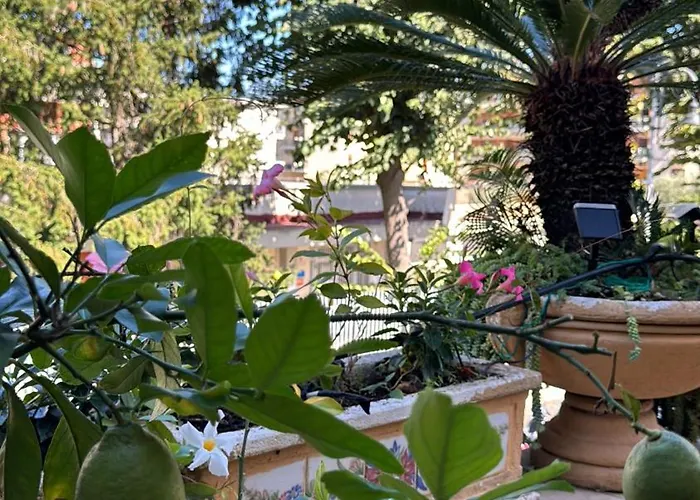 Relais Terrace And Relax Oda ve Kahvaltı 4*